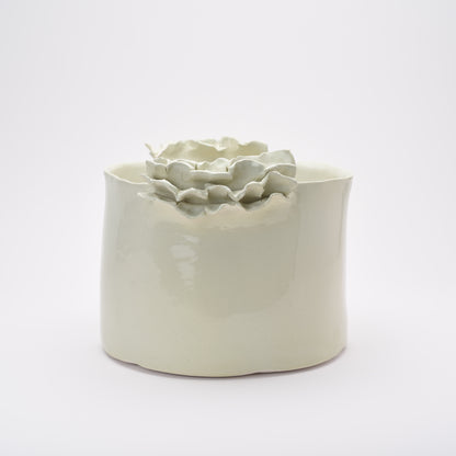 Deep Cloud Bowl